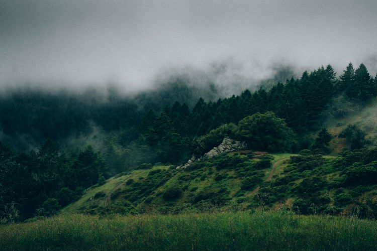 兑换平台正版的电话轰炸测试